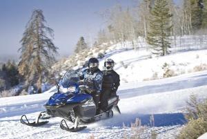 2014 Polaris Turbo IQ LXT