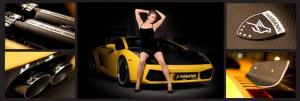 Шикарная брюнетка в гараже с Lamborghini