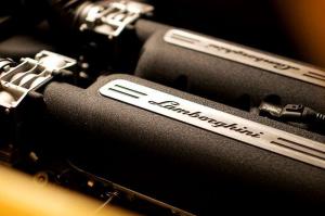 Шикарная брюнетка в гараже с Lamborghini