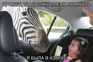 Автомобильные демотиваторы часть 320)