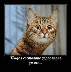 Автомобильные демотиваторы часть 323)
