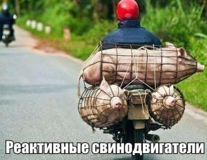 Автомобильные демотиваторы часть 325)
