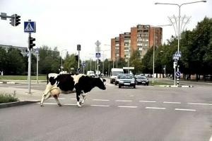 Автомобильная фотоподборка часть 326)
