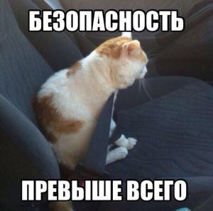 Автомобильные демотиваторы часть 329)
