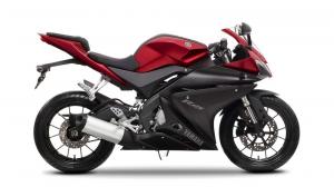 2014 Yamaha YZF-R125