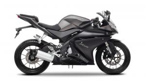 2014 Yamaha YZF-R125