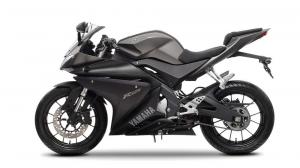 2014 Yamaha YZF-R125