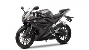 2014 Yamaha YZF-R125