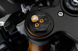 2015 Yamaha YZF-R1