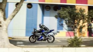 2014 Yamaha YZF-R125