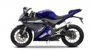 2014 Yamaha YZF-R125