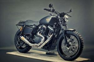 2014 Harley-Davidson XL1200 Sportster Renard Stealth Bomber by Renard Speed Shop