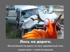 Автомобильные демотиваторы часть 332)