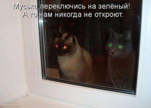 Автомобильные демотиваторы (часть 334)