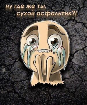 Автомобильные демотиваторы часть 334)