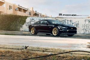 Ford Mustang «обулся» в золотистые диски