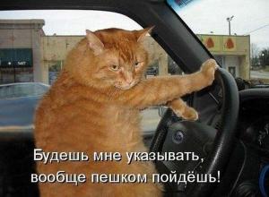 Автомобильные демотиваторы часть 338)
