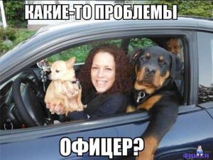 Автомобильные демотиваторы часть 339)