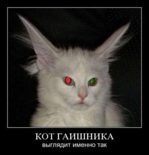 Автомобильные демотиваторы часть 340)
