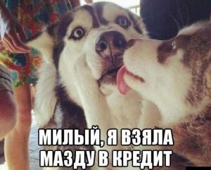 Автомобильные демотиваторы часть 340)