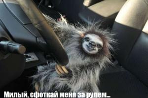 Автомобильные демотиваторы часть 340)