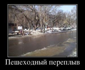 Автомобильные демотиваторы часть 340)