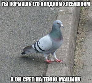 Автомобильные демотиваторы часть 342)