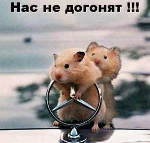 Автомобильные демотиваторы часть 343)