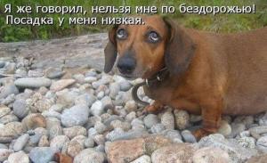 Автомобильные демотиваторы часть 343)