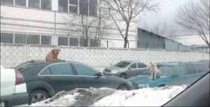 Автомобильная фотоподборка часть 345)