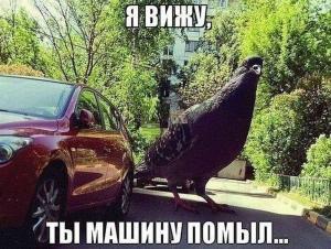 Автомобильные демотиваторы часть 346)