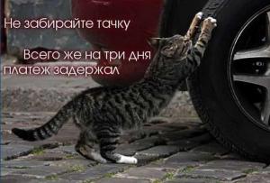 Автомобильные демотиваторы часть 346)