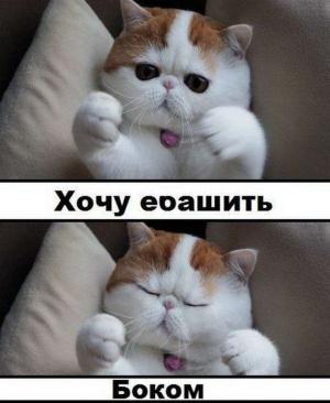 Автомобильные демотиваторы часть 347)