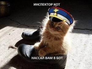 Автомобильные демотиваторы (часть 348)