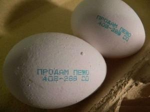 Автомобильная фотоподборка часть 349)