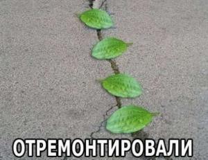 Автомобильные демотиваторы часть 349)