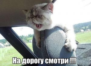 Автомобильные демотиваторы часть 350)