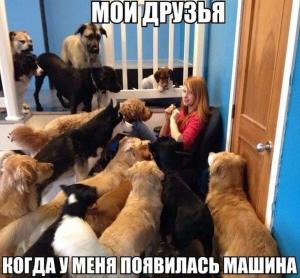 Автомобильные демотиваторы часть 350)