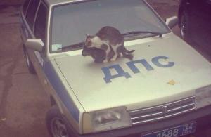 Автомобильная фотоподборка часть 354)