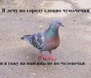 Автомобильные демотиваторы часть 358)