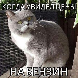 Автомобильные демотиваторы часть 360)