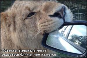 Автомобильные демотиваторы часть 363)