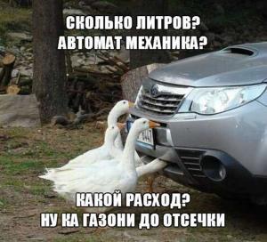 Автомобильные демотиваторы часть 364)