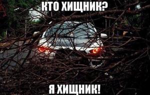 Автомобильные демотиваторы часть 366)