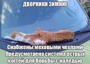 Автомобильные демотиваторы часть 366)