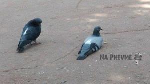 Автомобильная фотоподборка часть 367)