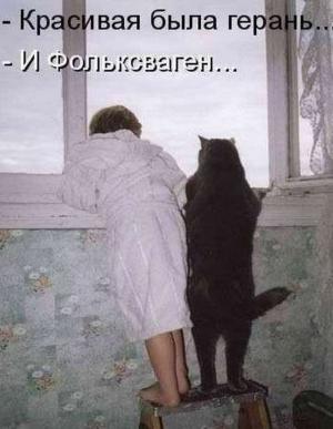 Автомобильные демотиваторы часть 370)