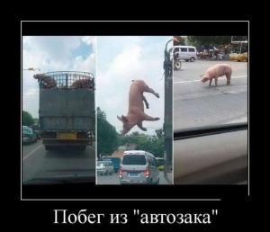 Автомобильные демотиваторы часть 372)