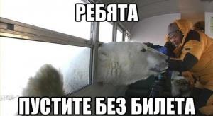 Автомобильные демотиваторы часть 372)