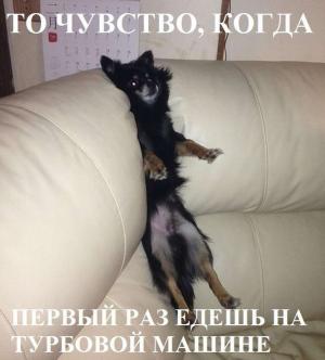 Автомобильные демотиваторы часть 373)